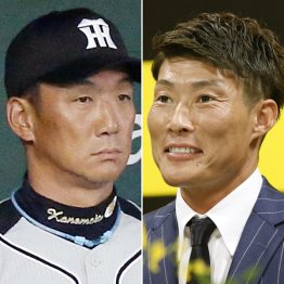 糸井の加入は「諸刃の剣」（Ｃ）共同通信社