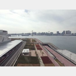 レインボーブリッジも望める（Ｃ）日刊ゲンダイ