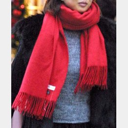 写真はイメージ（Ｃ）日刊ゲンダイ