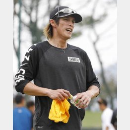 ＦＡ宣言した陽岱鋼（Ｃ）日刊ゲンダイ