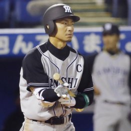 鳥谷はプロテクト入り！？（Ｃ）日刊ゲンダイ