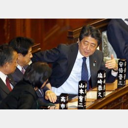 ナーンもしてない（Ｃ）日刊ゲンダイ