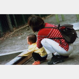 写真はイメージ（Ｃ）日刊ゲンダイ