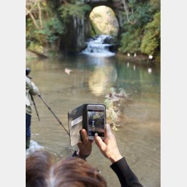 “ジブリの世界みたい”と評判の千葉の「濃溝の滝」（Ｃ）日刊ゲンダイ