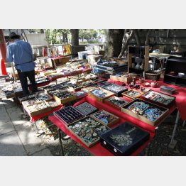 どこかにお宝が？（Ｃ）日刊ゲンダイ