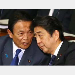 やりたい放題（Ｃ）日刊ゲンダイ