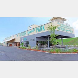 ＫＯＳＨＩＧＡＹＡ　ＧＣ（ＨＰから）