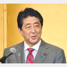 「道半ば」とゴマカシ続けてきたが…（Ｃ）日刊ゲンダイ