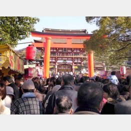 神社の知名度にこだわる必要はなし（Ｃ）日刊ゲンダイ
