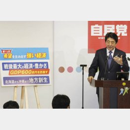 アベノミクスには「具体策が欠けている」と指摘する（Ｃ）日刊ゲンダイ