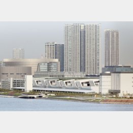 豊洲新市場（Ｃ）日刊ゲンダイ