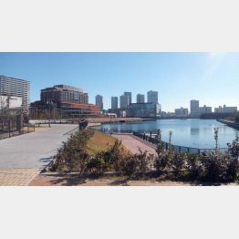 もともとは埋め立て地（Ｃ）日刊ゲンダイ