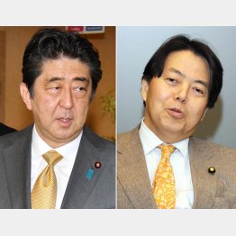 宿敵の林芳正元農相（Ｃ）日刊ゲンダイ