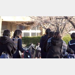 写真はイメージ（Ｃ）日刊ゲンダイ