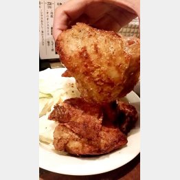 「楽椿」の『赤』／（Ｃ）日刊ゲンダイ