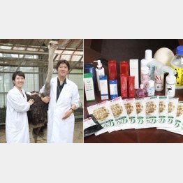 左から卒業生で同社の上野さんとダチョウのハラちゃん（♀５歳）、塚本教授（Ｃ）日刊ゲンダイ