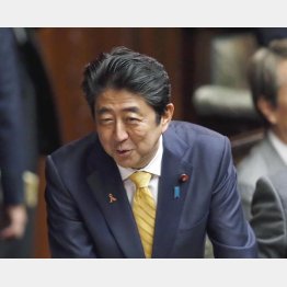 モミ手外交一本やり（Ｃ）日刊ゲンダイ