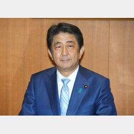 どこまでもついていきます（Ｃ）日刊ゲンダイ