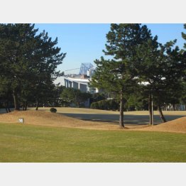 ３番ホールのティーグラウンドからゲートブリッジが見える（提供写真）