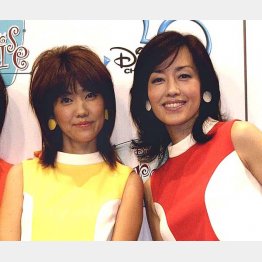 書類送検された松本伊代（左）と早見優（Ｃ）日刊ゲンダイ