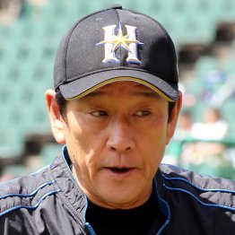 栗山監督はカブスの施設を称賛（Ｃ）日刊ゲンダイ