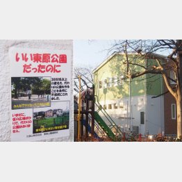 （Ｃ）日刊ゲンダイ