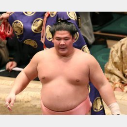 宇良はレスリング出身／（Ｃ）日刊ゲンダイ