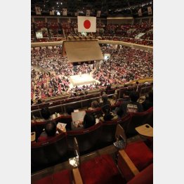 マス席を２人でゆっくりもいいが…（Ｃ）日刊ゲンダイ