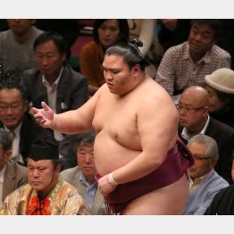 個性派の代表（御嶽海）／（Ｃ）日刊ゲンダイ