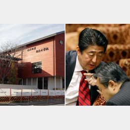 関わりを否定するが…（Ｃ）日刊ゲンダイ