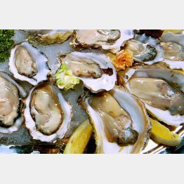 ふるさと納税は海産物も人気（Ｃ）日刊ゲンダイ