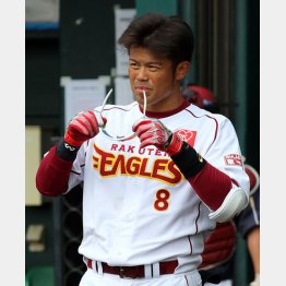 ０６年第１回大会に出場した楽天の今江内野手（Ｃ）日刊ゲンダイ