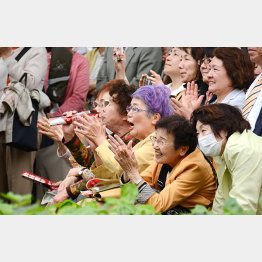 女性は高齢になっても元気がいい（Ｃ）日刊ゲンダイ