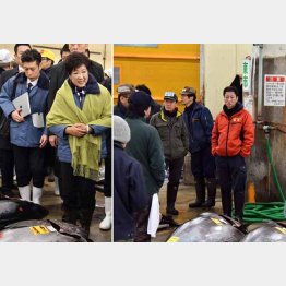 小池知事はどうする？（Ｃ）日刊ゲンダイ