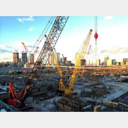 豊洲は「節約」していたが…（Ｃ）日刊ゲンダイ