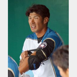 今年も春先だけ？（Ｃ）日刊ゲンダイ