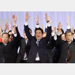 「美しい国づくり」に万歳／（Ｃ）日刊ゲンダイ