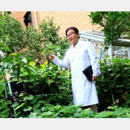 鈴木高広教授（Ｃ）日刊ゲンダイ