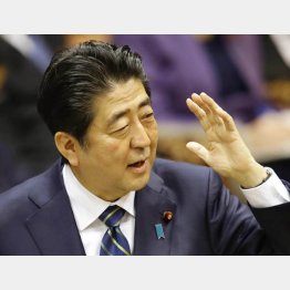 すべてパフォーマンス（Ｃ）日刊ゲンダイ