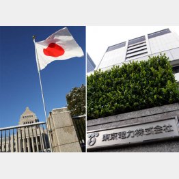 画期的な判決（Ｃ）日刊ゲンダイ