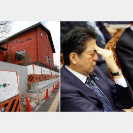 国民の８５％は「納得できない」／（Ｃ）日刊ゲンダイ