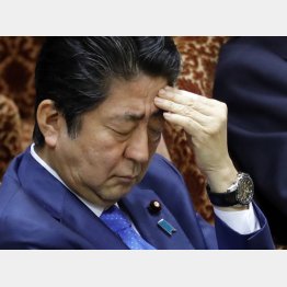 これから本番（Ｃ）日刊ゲンダイ