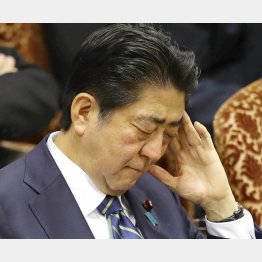 幕引きの思惑は完全に失敗（Ｃ）日刊ゲンダイ