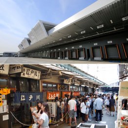 築地か豊洲か（Ｃ）日刊ゲンダイ