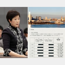 オーシャンビューの都有地を破格の安値で…（Ｃ）日刊ゲンダイ