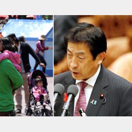 塩崎厚労相（右）も「さまざま課題がある」と認めた（Ｃ）日刊ゲンダイ