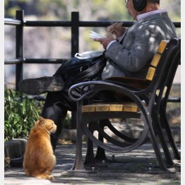 写真はイメージ（Ｃ）日刊ゲンダイ