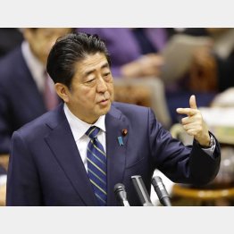 参院予算委員会で答弁する安倍首相（Ｃ）日刊ゲンダイ