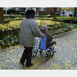 写真はイメージ（Ｃ）日刊ゲンダイ