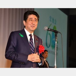 トランプのイエスマン（Ｃ）日刊ゲンダイ